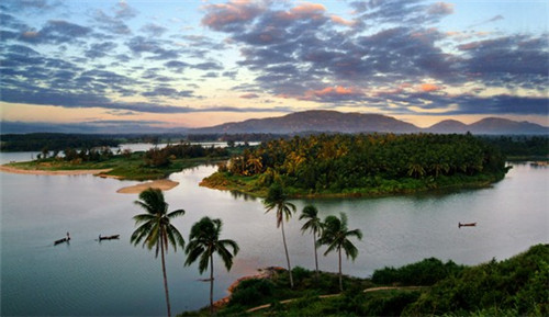 背胶哪个品牌好