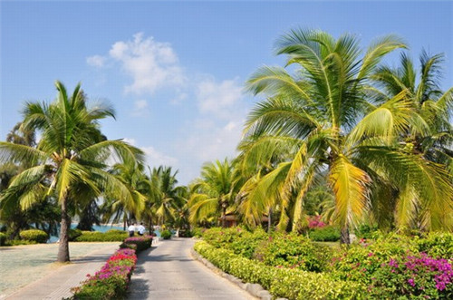 草原上怎么做奶茶店