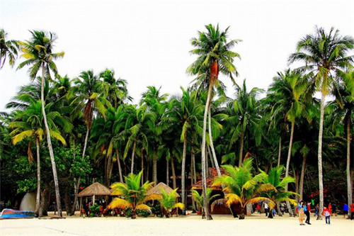 水果店创业活动总结怎么写