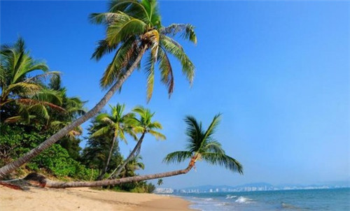 加盟乐翻客鲜奶吧开店怎么样