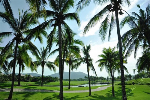 宁远麻辣火锅加盟费多少钱