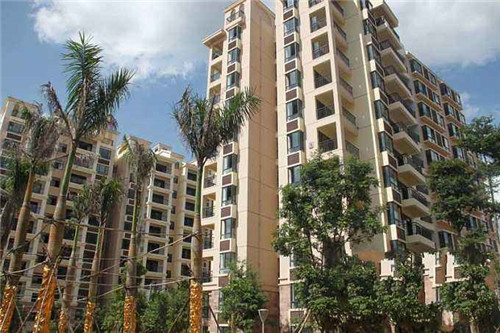 湖南十大食用油品牌（湖南食用油排名）