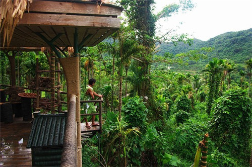 郑食美食（美食郑州）